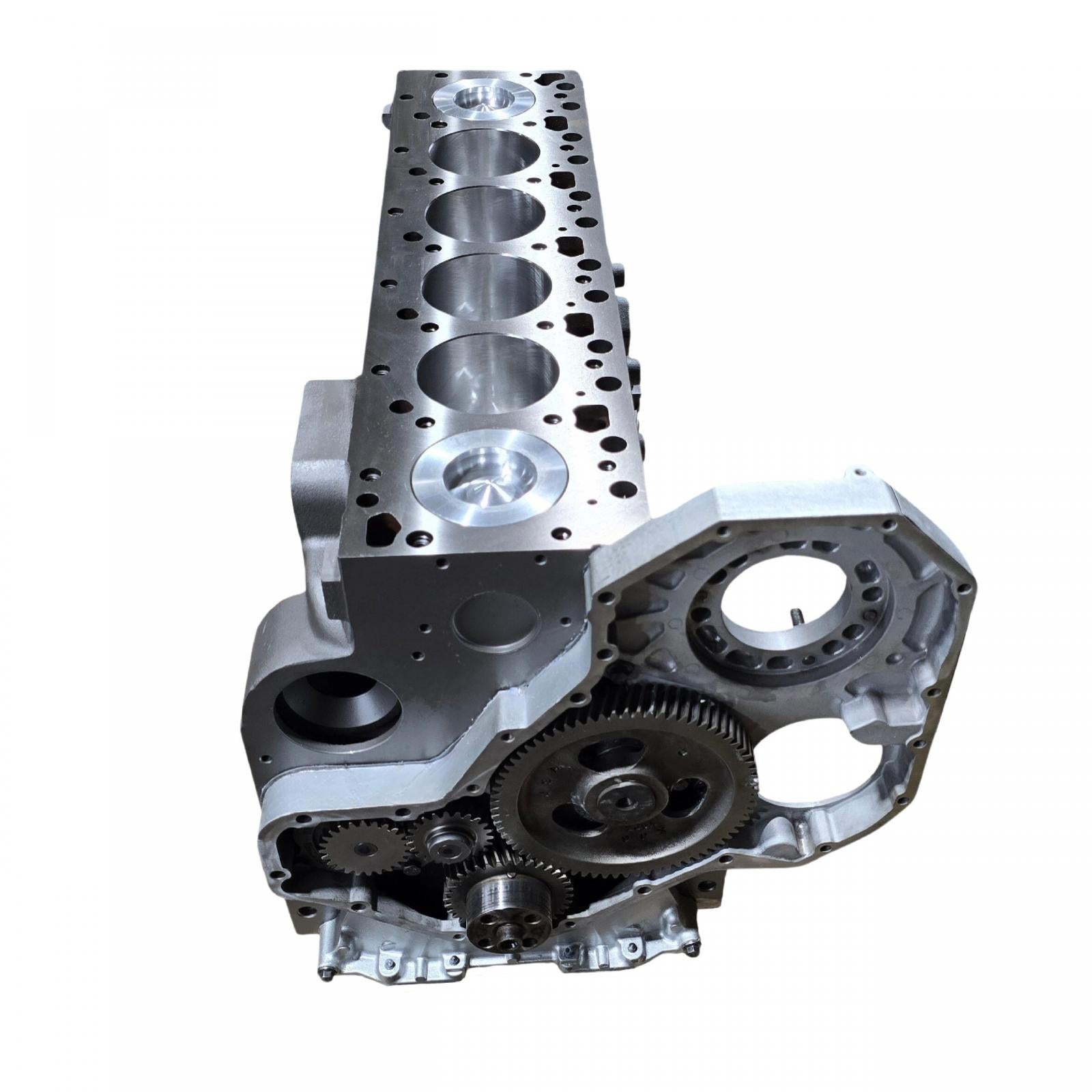 トップス DIESEL T-GO